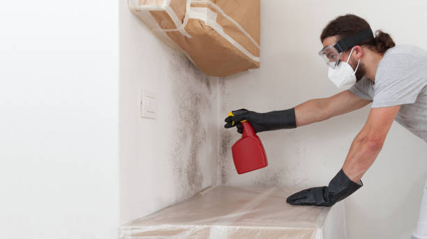 Professional Bathroom Mold Removal technician working in Waltham, MA